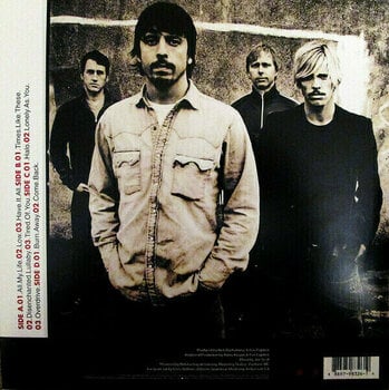 LP Foo Fighters One By One (2 LP) - 2