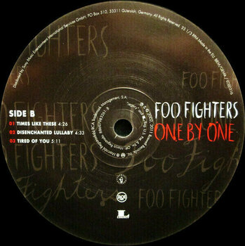 Vinylskiva Foo Fighters One By One (2 LP) - 4
