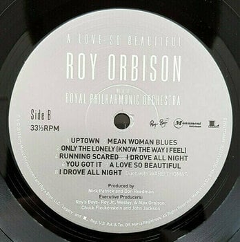 Vinyl Record Roy Orbison A Love So Beautiful: Roy Orbison & the Royal Philharmonic Orchestra (LP) - 8