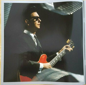 Disco de vinil Roy Orbison A Love So Beautiful: Roy Orbison & the Royal Philharmonic Orchestra (LP) - 9