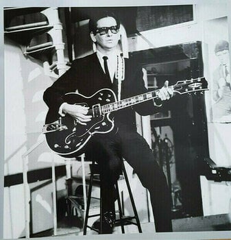 Disco de vinil Roy Orbison A Love So Beautiful: Roy Orbison & the Royal Philharmonic Orchestra (LP) - 12