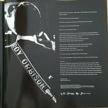 Disque vinyle Roy Orbison A Love So Beautiful: Roy Orbison & the Royal Philharmonic Orchestra (LP) - 16