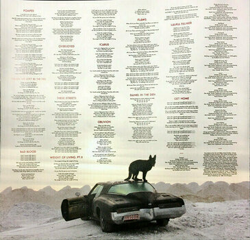 LP plošča Bastille - All This Bad Blood (Limited Edition) (RSD) (2 LP) - 9