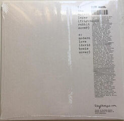 Vinyl Record Biffy Clyro - Moderns (RSD) (LP) - 1