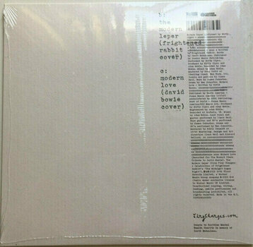 Schallplatte Biffy Clyro - Moderns (RSD) (LP) - 2
