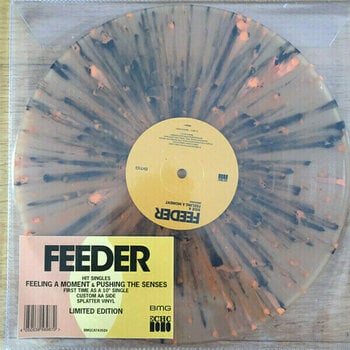 Disc de vinil Feeder - Feeling A Moment / Pushing The Senses (RSD (12" Vinyl) - 2