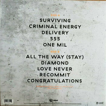 LP platňa Jimmy Eat World Surviving (LP) - 2