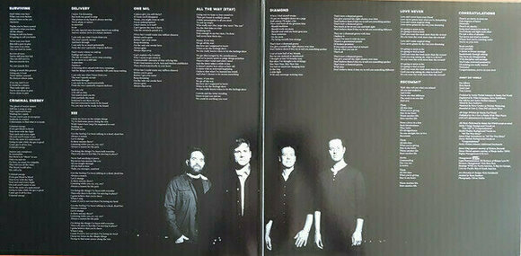 Vinylskiva Jimmy Eat World Surviving (LP) - 3