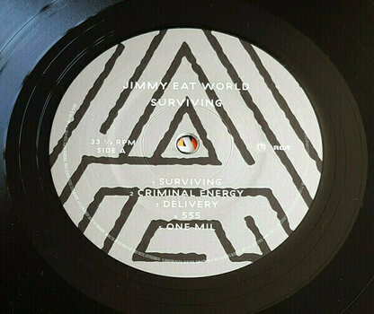 Vinyl Record Jimmy Eat World Surviving (LP) - 4