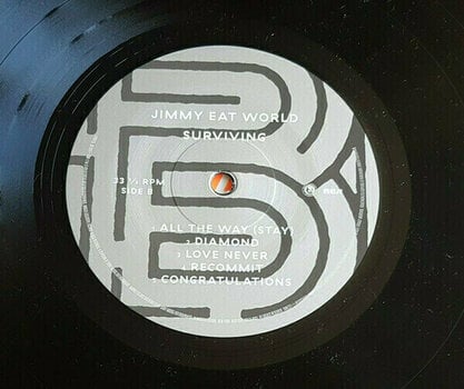 Vinyl Record Jimmy Eat World Surviving (LP) - 5
