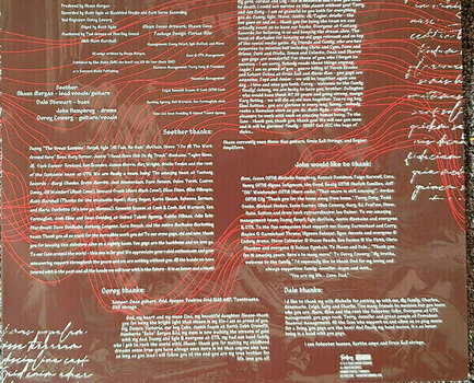 Hanglemez Seether - Si Vis Pacem Para Bellum (Coloured) (2 LP) - 6