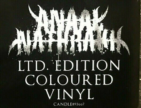 Disco de vinil Anaal Nathrakh - Vanitas (Reissue) (LP) - 3