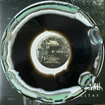 Disque vinyle Anaal Nathrakh - Vanitas (Reissue) (LP) - 2