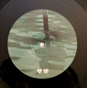 Vinyylilevy Mystery Jets - A Billion Heartbeats (2 LP) - 4