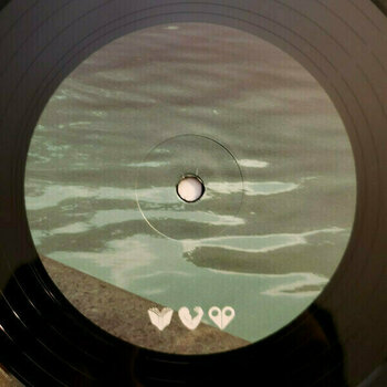 Vinyl Record Mystery Jets - A Billion Heartbeats (2 LP) - 5
