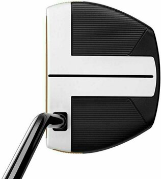Golf Club Putter TaylorMade Spider Single Bend-Spider FCG Right Handed 35'' - 2