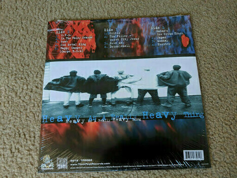 Δίσκος LP Strapping Young Lad - Heavy As A Really Heavy Thing (Blue/Red Coloured) (2 LP) - 3