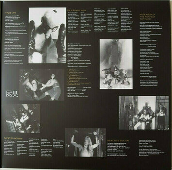 Vinylskiva Pungent Stench - Club Mondo Bizarre (Red Vinyl) (LP) - 4
