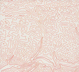 CD muzica Puding Pani Elvisovej - Tektonická Platňa (CD) - 3