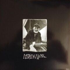 Schallplatte Glen Hansard - Between Two Shores (LP) - 6