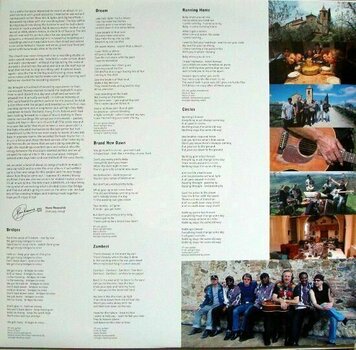 Δίσκος LP Hans Theessink - Bridges (LP) (180g) - 4