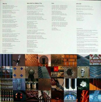 Δίσκος LP Hans Theessink - Bridges (LP) (180g) - 5