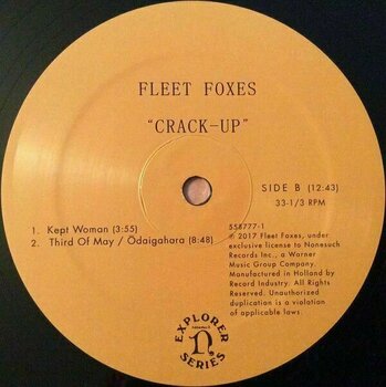 LP Fleet Foxes - Crack-Up (LP) - 6