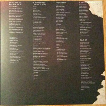 LP Fleet Foxes - Crack-Up (LP) - 11