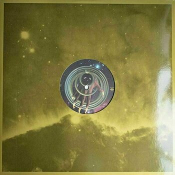 Hanglemez Flying Lotus - Flamagra (Gatefold) (2 LP) - 5