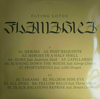 Płyta winylowa Flying Lotus - Flamagra (Gatefold) (2 LP) - 6