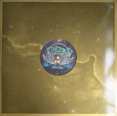 Disc de vinil Flying Lotus - Flamagra (Gatefold) (2 LP) - 6