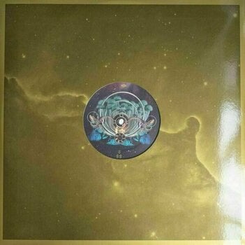Płyta winylowa Flying Lotus - Flamagra (Gatefold) (2 LP) - 7