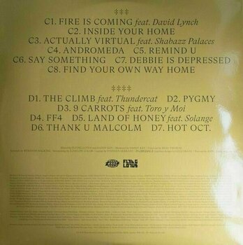 Płyta winylowa Flying Lotus - Flamagra (Gatefold) (2 LP) - 8