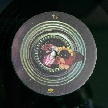 Płyta winylowa Flying Lotus - Flamagra (Gatefold) (2 LP) - 11