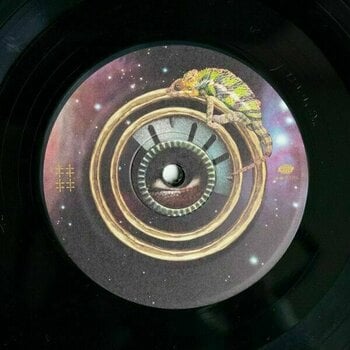 Disco in vinile Flying Lotus - Flamagra (Gatefold) (2 LP) - 13