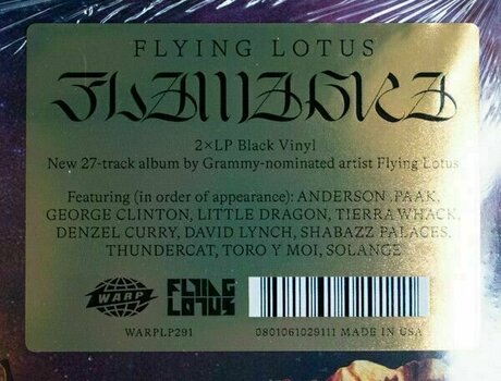 Płyta winylowa Flying Lotus - Flamagra (Gatefold) (2 LP) - 14