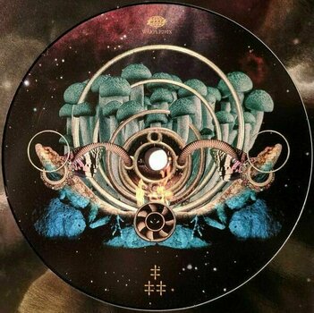 LP Flying Lotus - Flamagra (Limited Edition) (2 LP) - 7