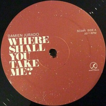 LP Damien Jurado - Where Shall You Take Me (2 LP) - 5