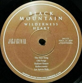 Płyta winylowa Black Mountain - Wilderness Heart (LP) - 3