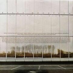 Hanglemez Black Mountain - Wilderness Heart (LP) - 4