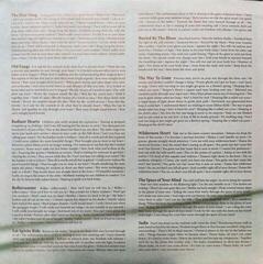 Hanglemez Black Mountain - Wilderness Heart (LP) - 5