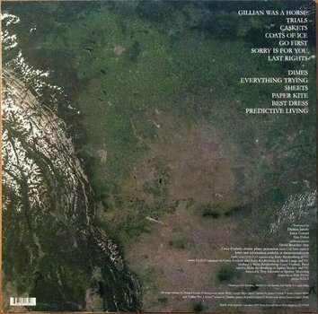 Disco in vinile Damien Jurado - Caught In the Trees (LP) - 4