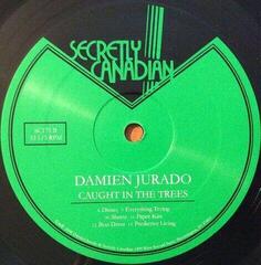 LP ploča Damien Jurado - Caught In the Trees (LP) - 1
