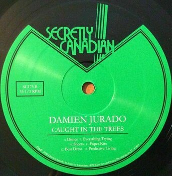 Hanglemez Damien Jurado - Caught In the Trees (LP) - 2