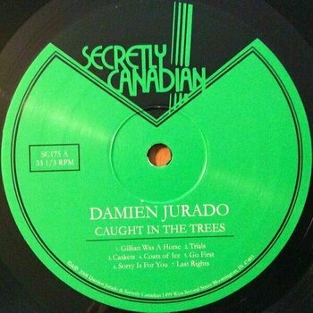 Hanglemez Damien Jurado - Caught In the Trees (LP) - 3