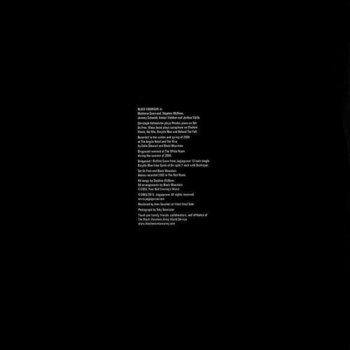 Płyta winylowa Black Mountain - Black Mountain (Gray Swirled) (2 LP) - 9