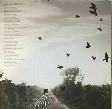LP Damien Jurado - Rehearsals For Departure (LP) - 6