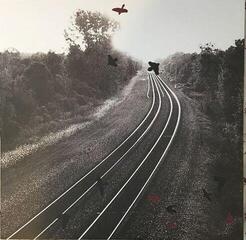 LP ploča Damien Jurado - Rehearsals For Departure (LP) - 6