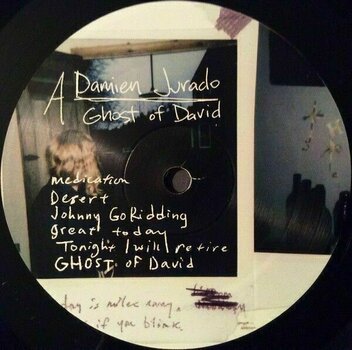 Δίσκος LP Damien Jurado - Ghost Of David (LP) - 3