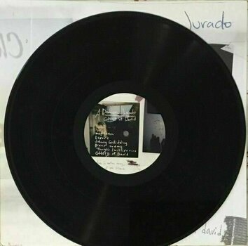 Δίσκος LP Damien Jurado - Ghost Of David (LP) - 5